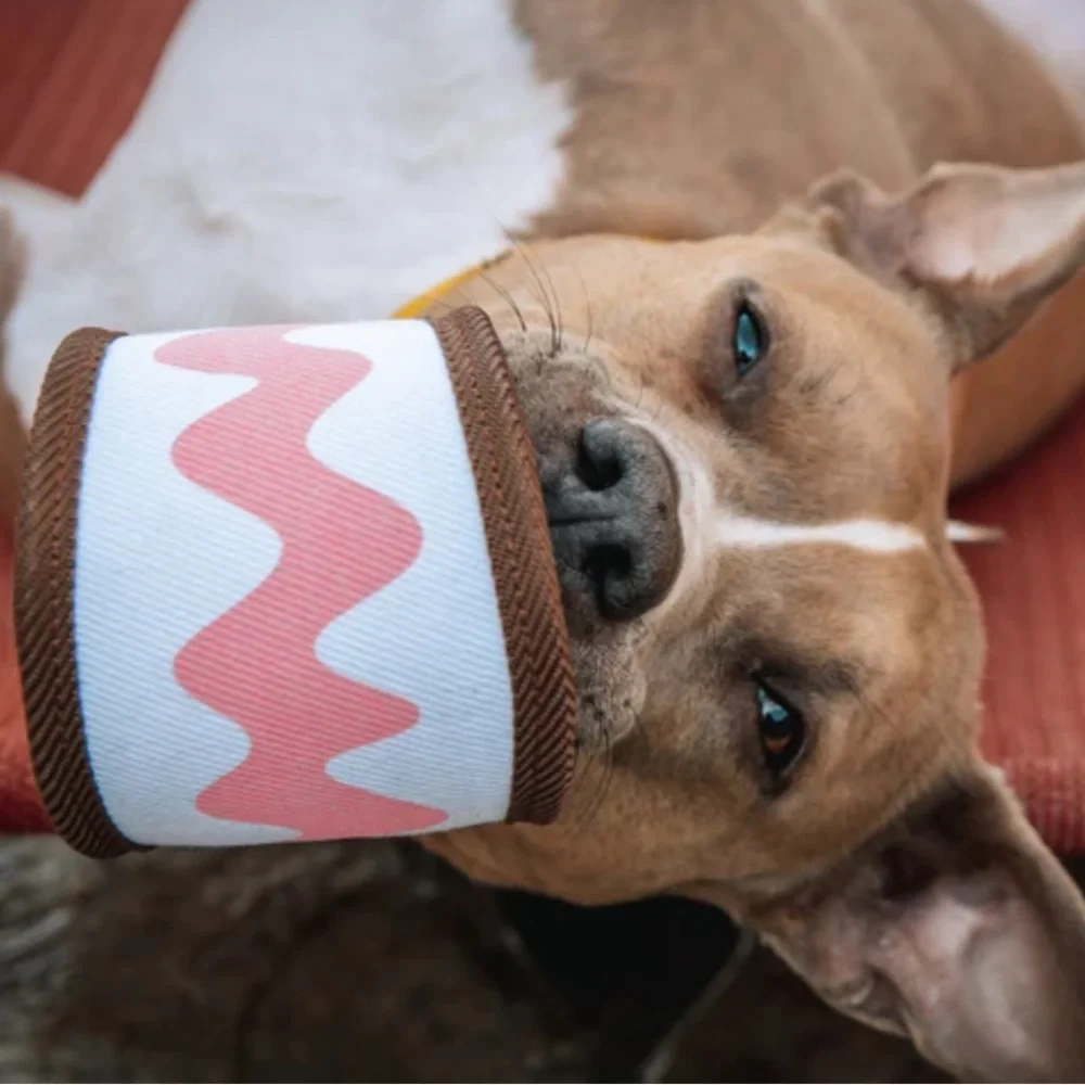 BarkBox SuperChew Ice cream Sandwich